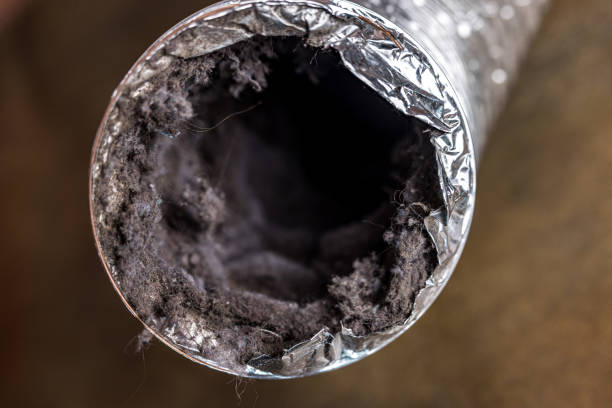 Best Commercial HVAC Duct Cleaning  in Pine Bluffs, WY